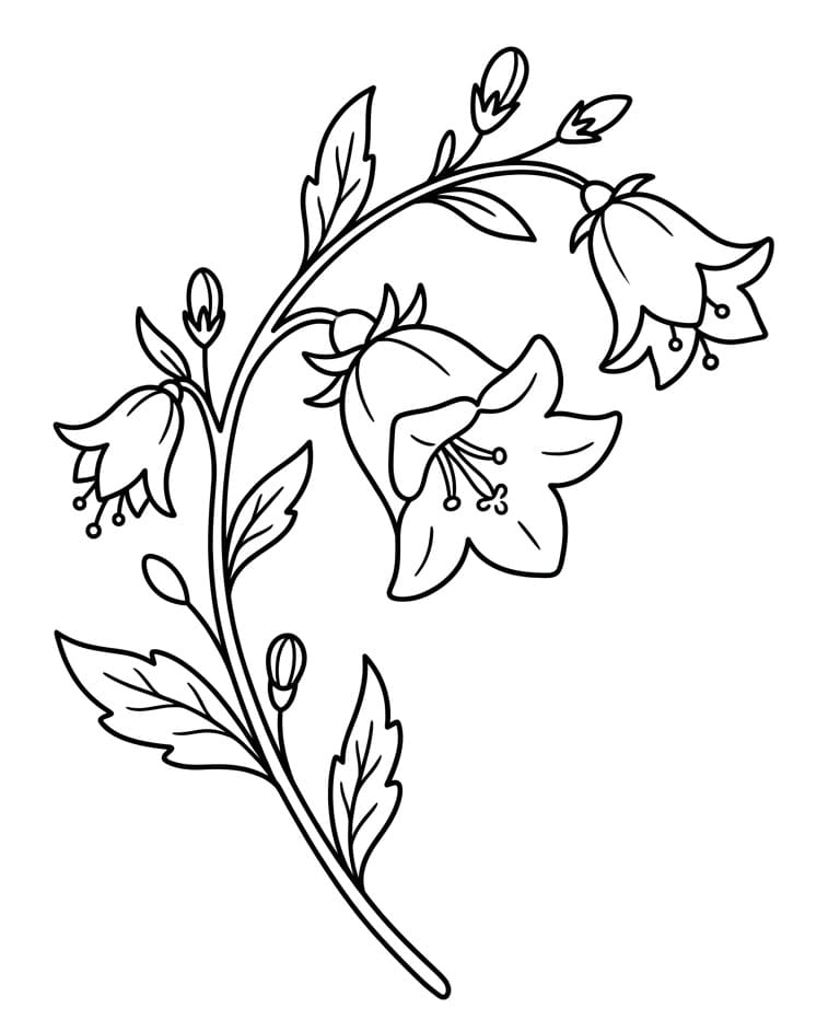 Målarbild Fantastisk blåklocka