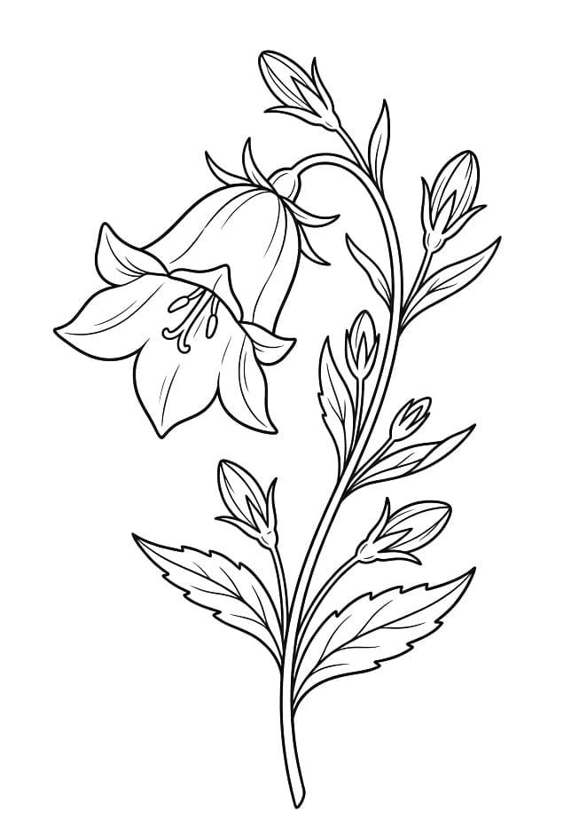 Målarbild Fin blåklocka