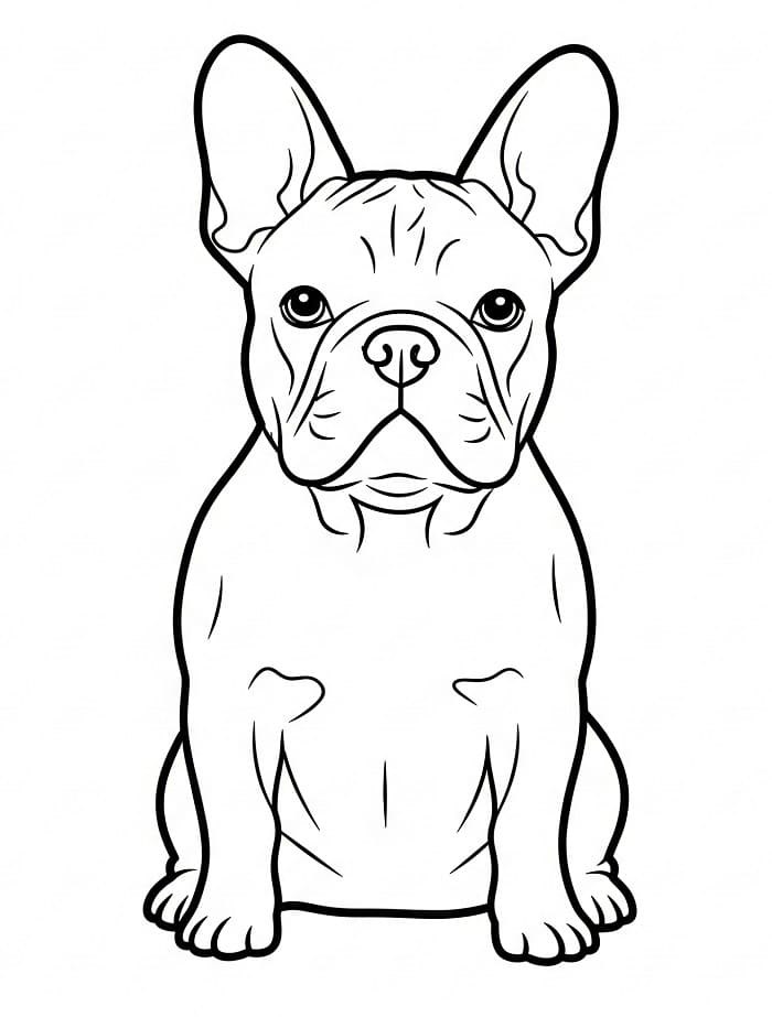 Målarbild Fransk Bulldogg Gratis Utskrivbar för Barn