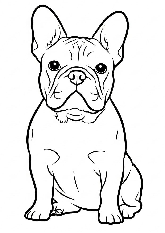 Målarbilder Fransk Bulldog