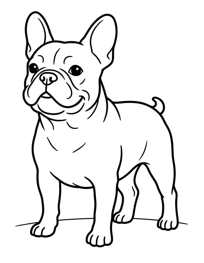 Målarbild Glad Fransk Bulldogg