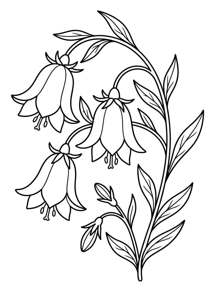 Målarbild Härlig blåklocka