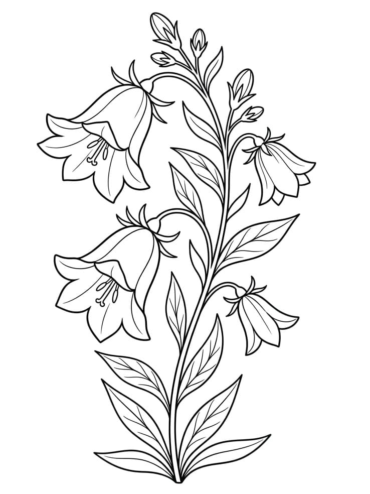 Målarbild Mycket vacker blåklocka