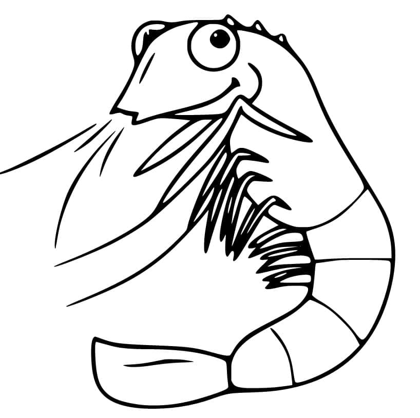 Målarbild Räka Gratis Utskrivbar