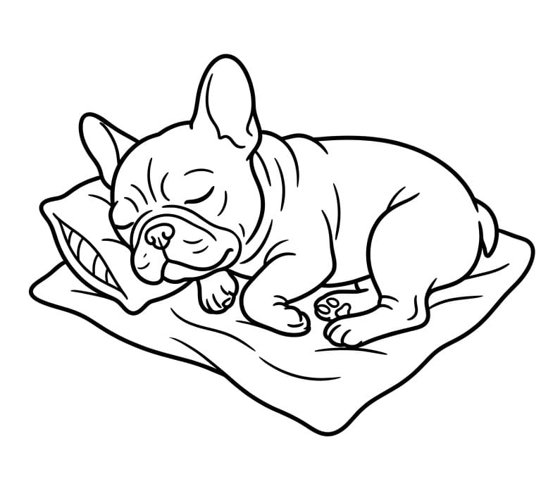 Målarbild Sovande Fransk Bulldogg
