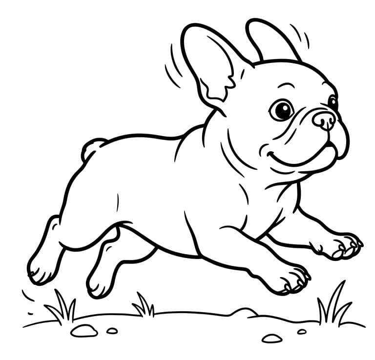 Målarbild Springande Fransk Bulldogg