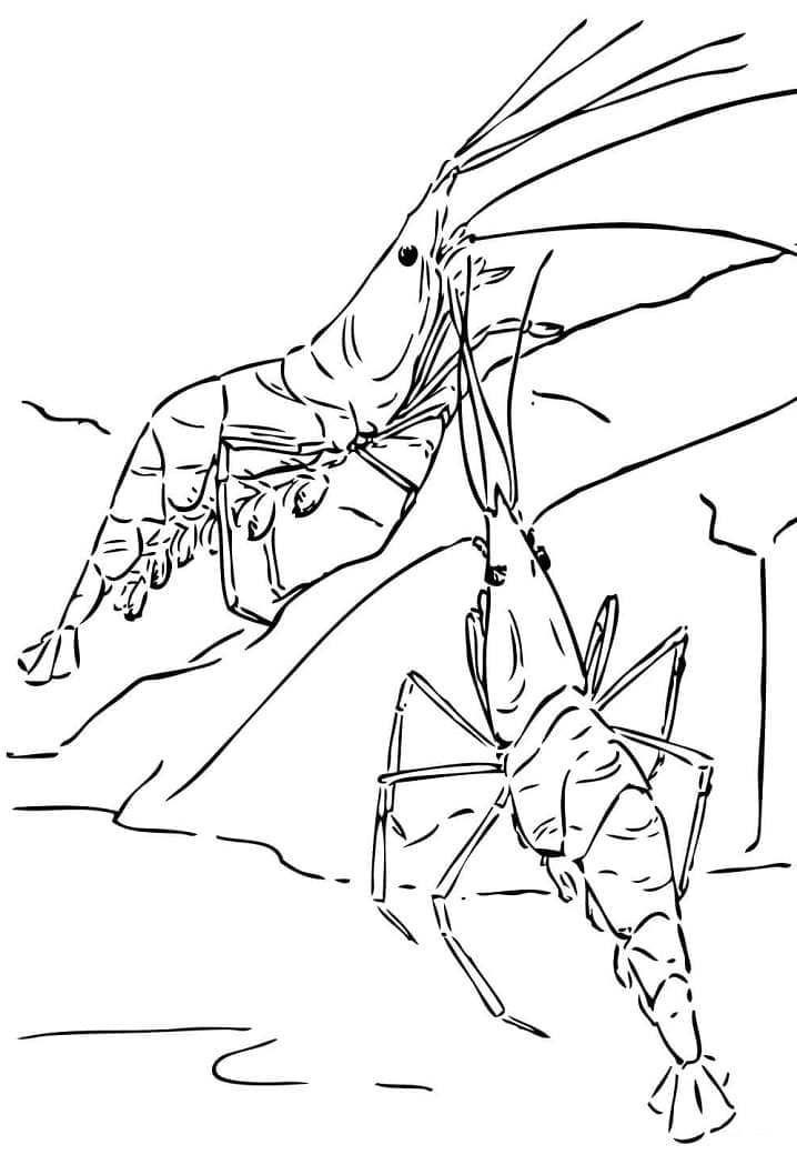 Målarbild Två räkor