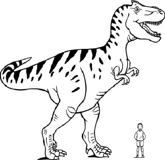 Målarbild Allosaurus Gratis