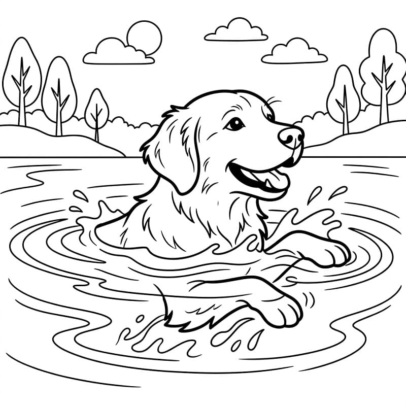 Målarbild En hund simmar