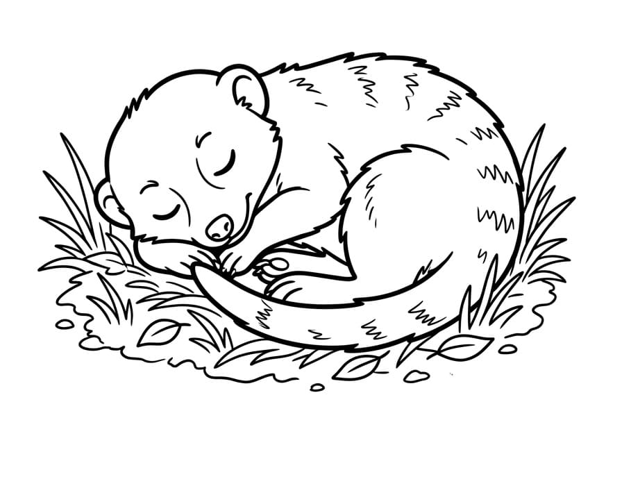 Målarbild En surikat sover
