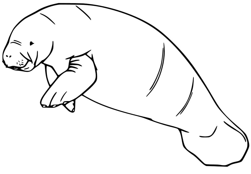 Målarbild Fin Sjöko