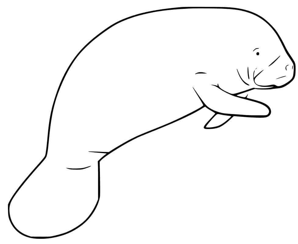 Målarbild Grundläggande Sjöko