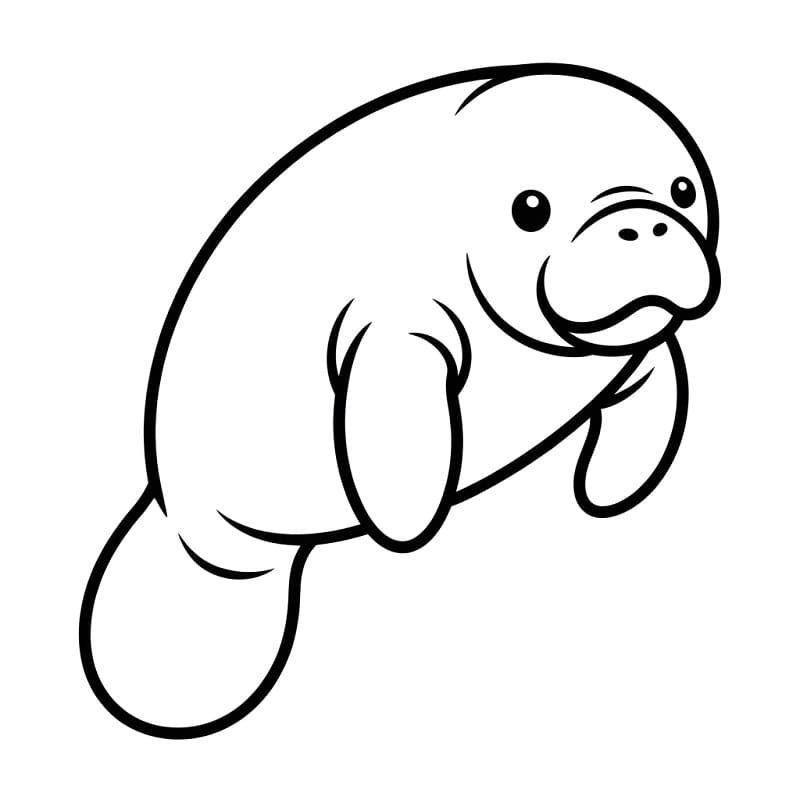 Målarbild Lätt Sjöko