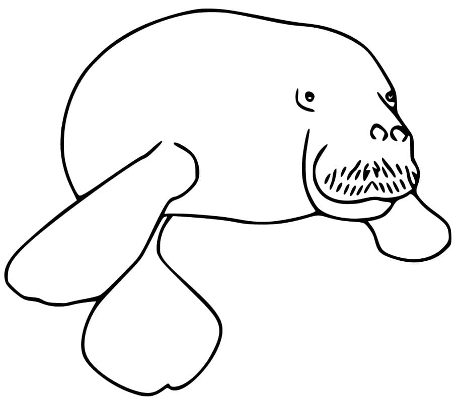 Målarbild Sjöko att skriva ut