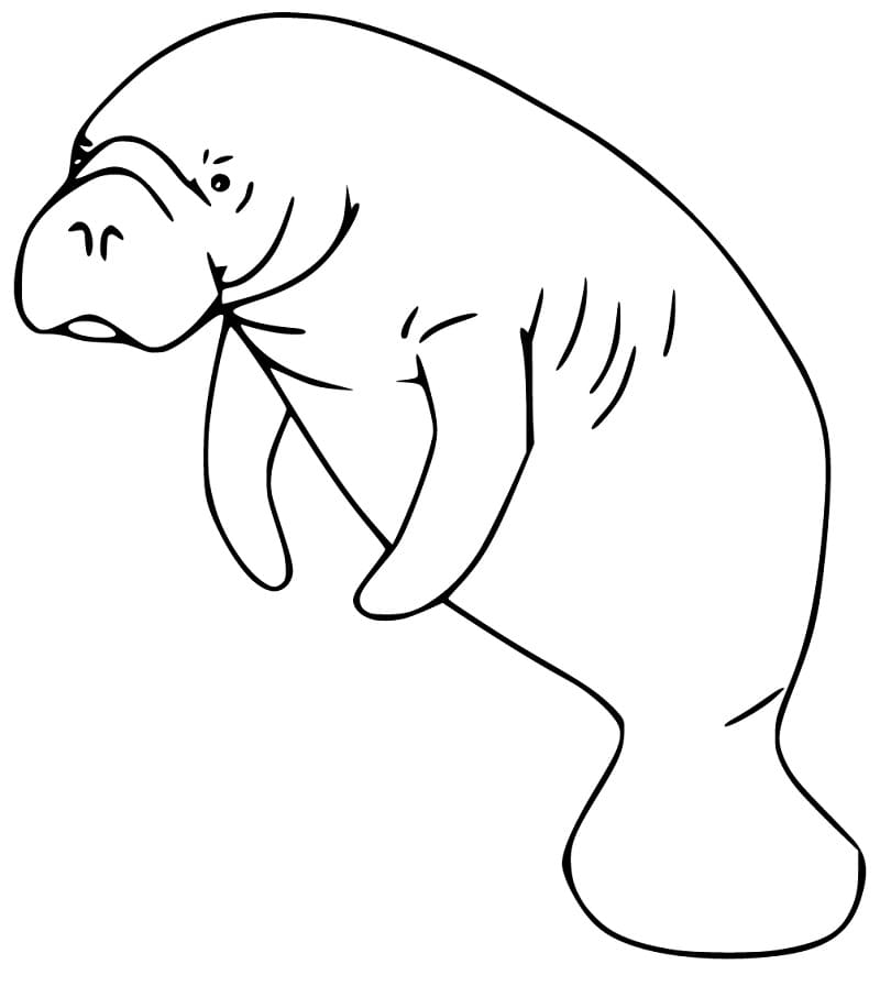Målarbild Sjöko för barn