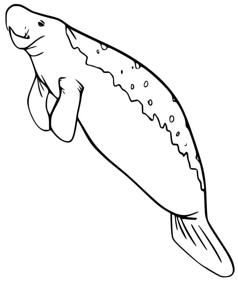 Målarbild Sjöko för kids