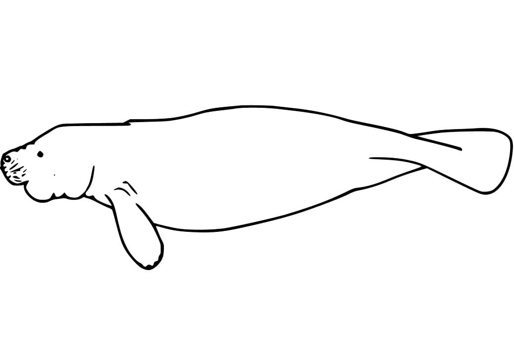 Målarbild Utskrivbar Sjöko