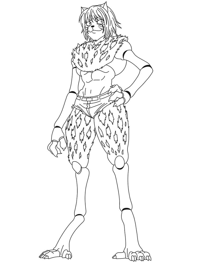 Målarbild Cheetu från Hunter x Hunter