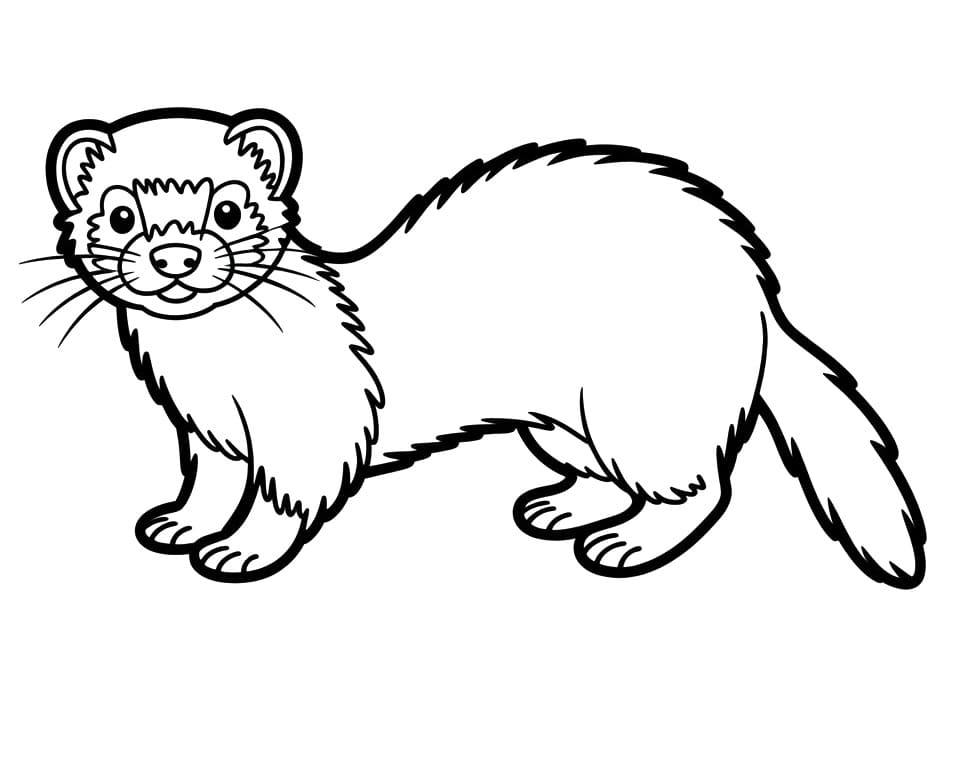 Målarbild Gratis iller