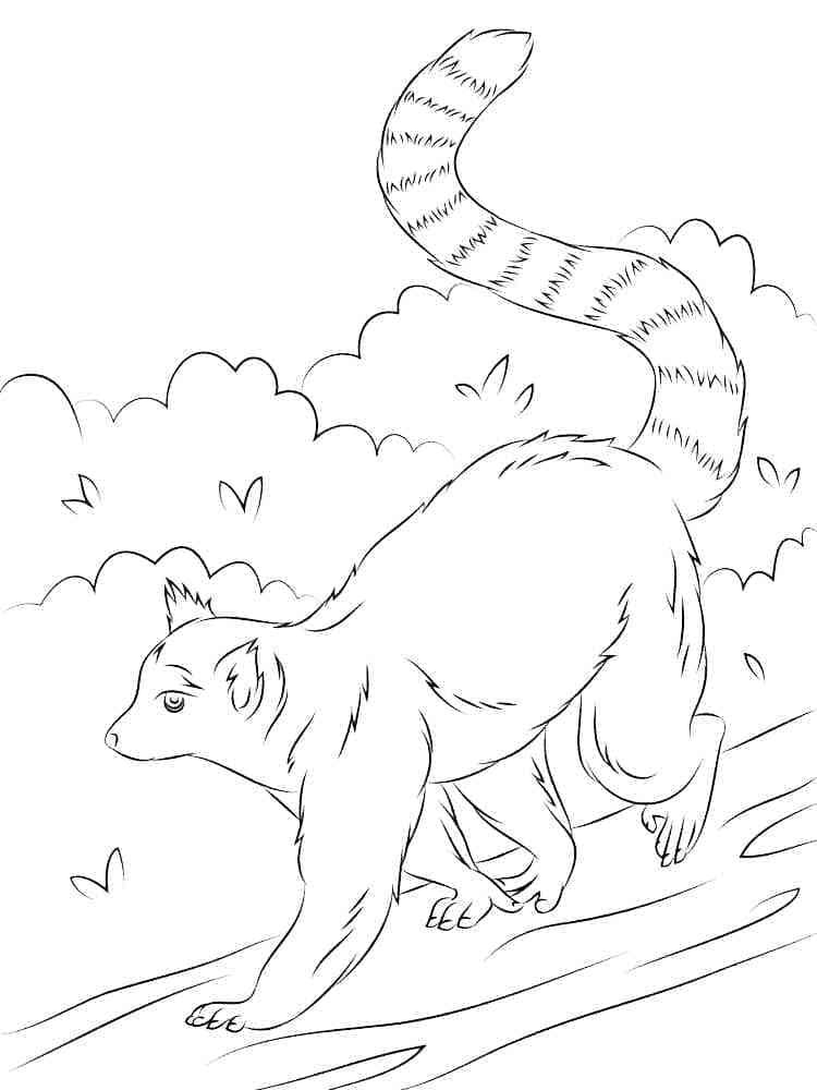 Målarbild Lemur Gratis