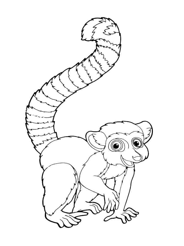 Målarbild Lemur Utskrivbar