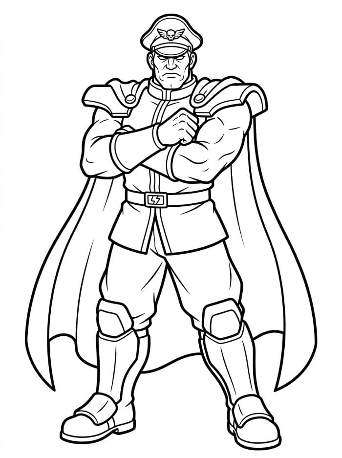Målarbild Street Fighter M. Bison