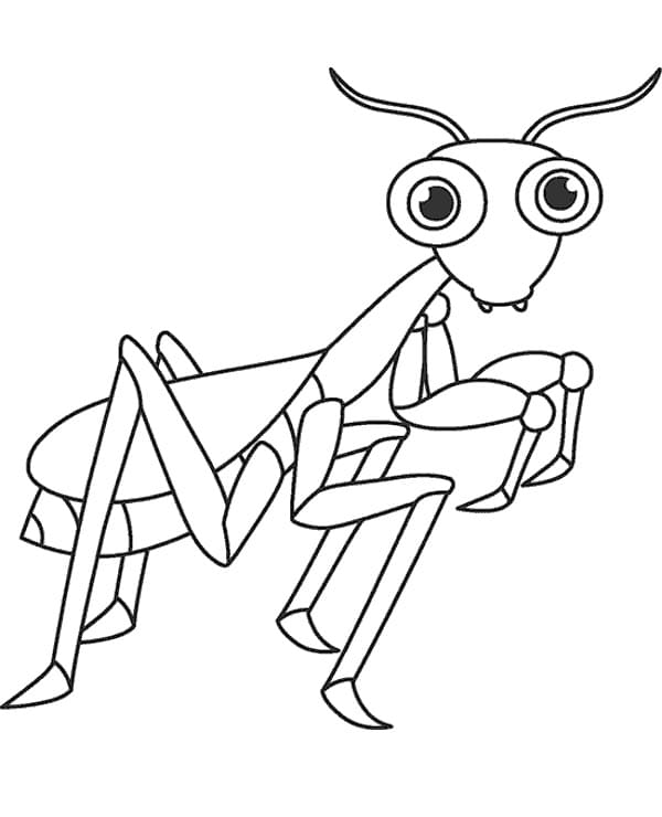 Målarbild Gratis Bönsyrsa