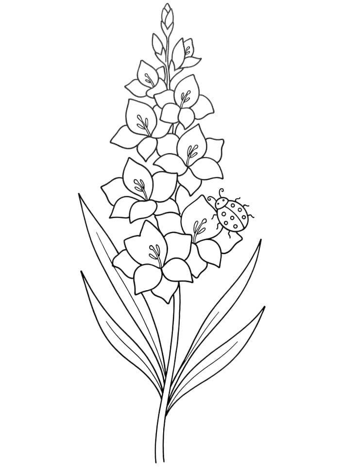 Målarbild Gladiolus och nyckelpiga