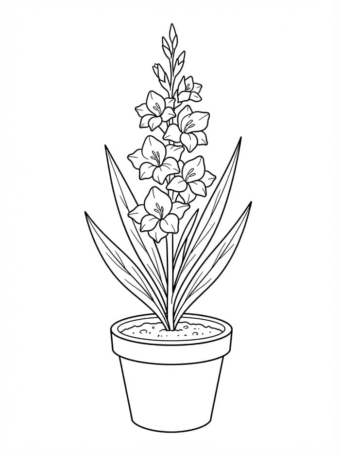 Målarbild Gladioluskruka