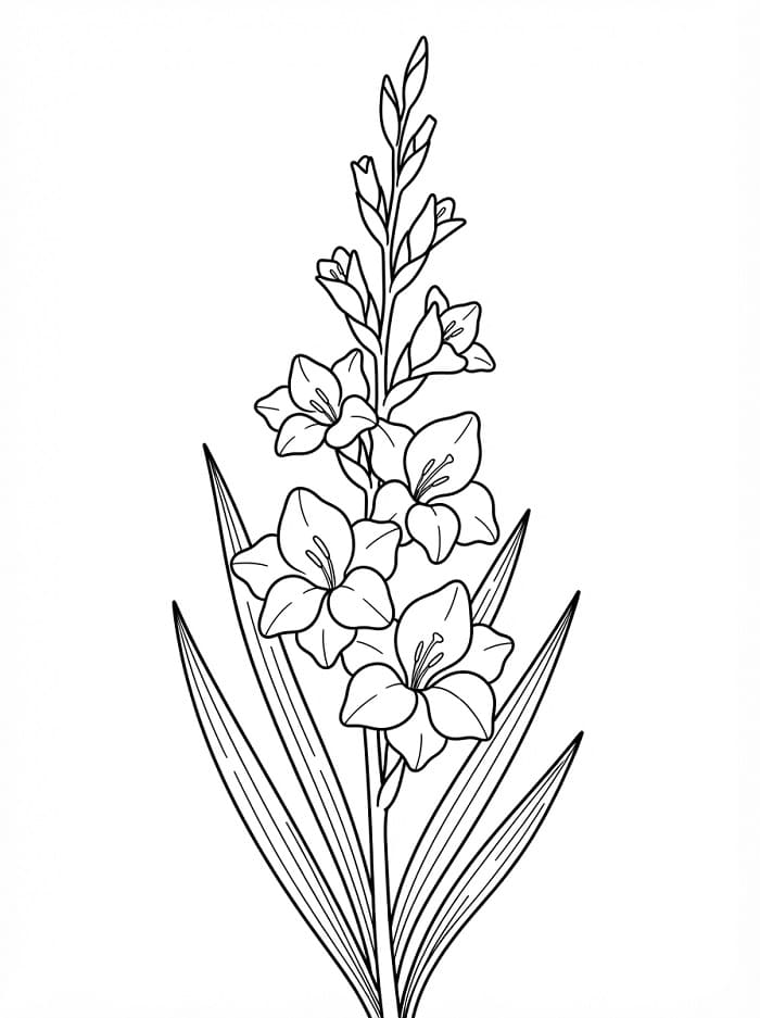 Målarbild Gratis Gladiolus för Barn