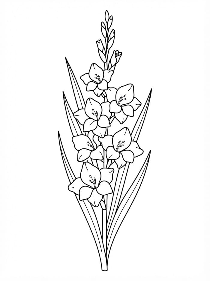 Målarbild Gratis Utskrivbar Gladiolus för Barn