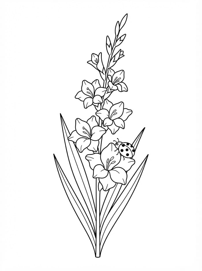 Målarbild Härlig gladiolus