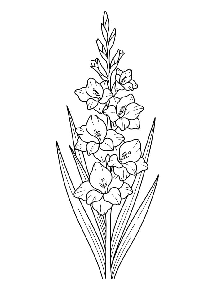 Målarbild Mycket Vacker Gladiolusblomma