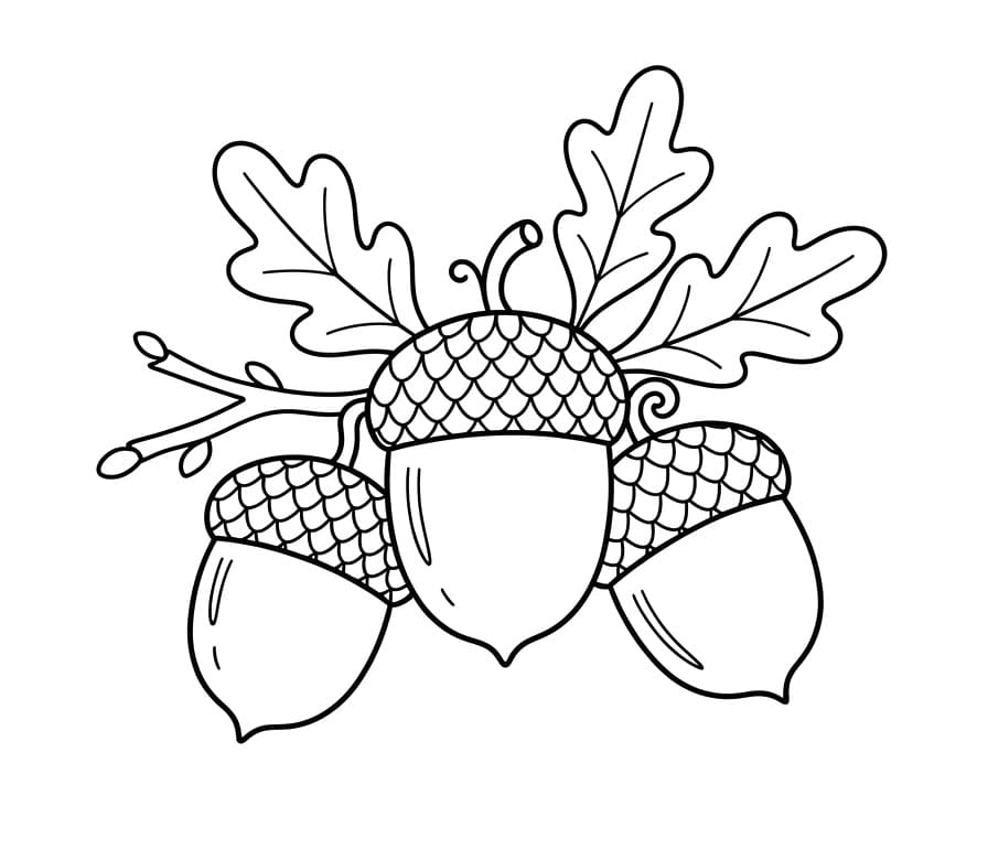 Målarbild Tre ekollon