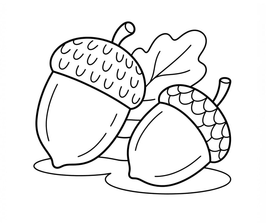 Målarbilder Ekollon