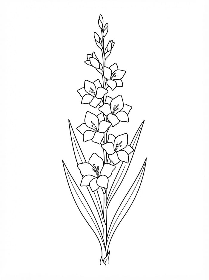 Målarbild Utskrivbar Gladiolus för Barn