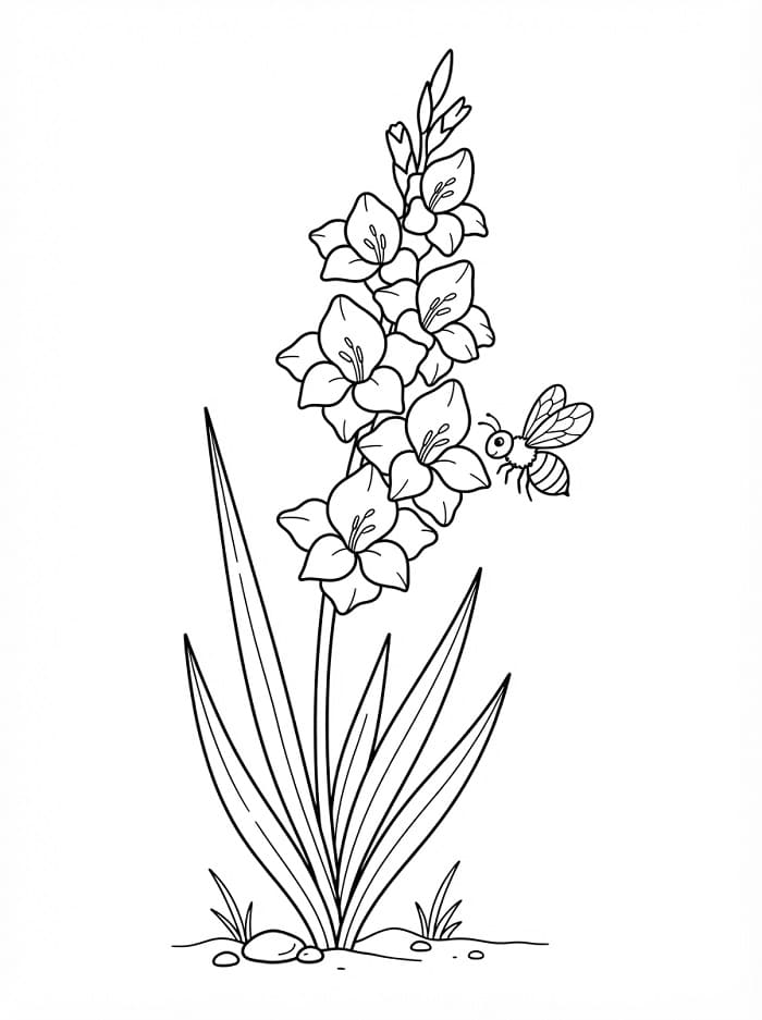 Målarbild Utskrivbar Gladiolus