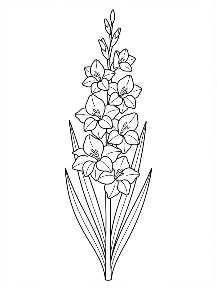 Målarbild Vacker Gladiolusblomma