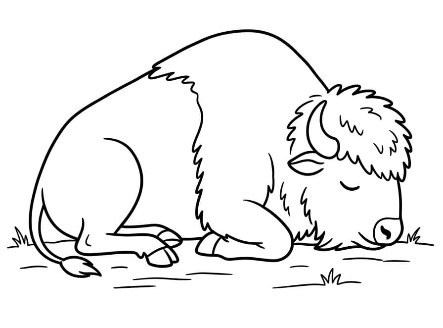 Målarbild En sovande bison