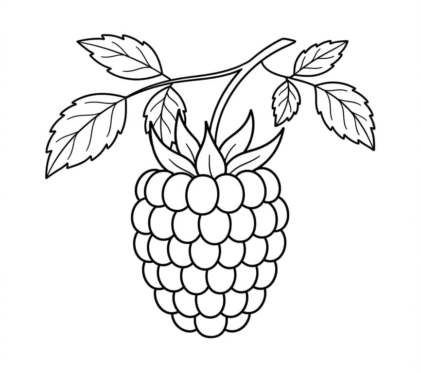 Målarbild Enkel hallon