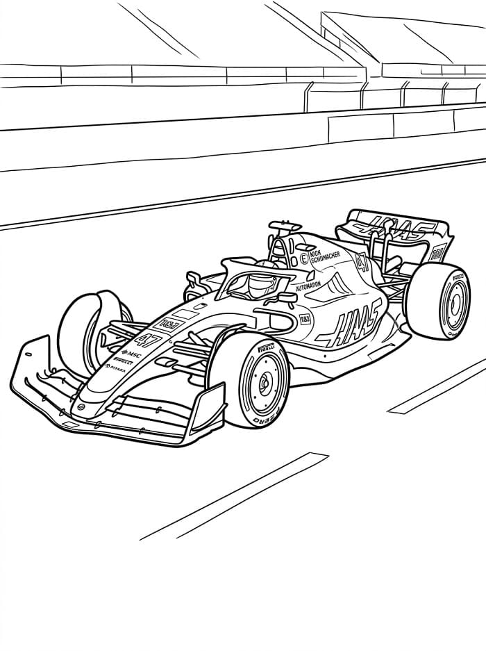 Målarbild F1 Haas VF 22