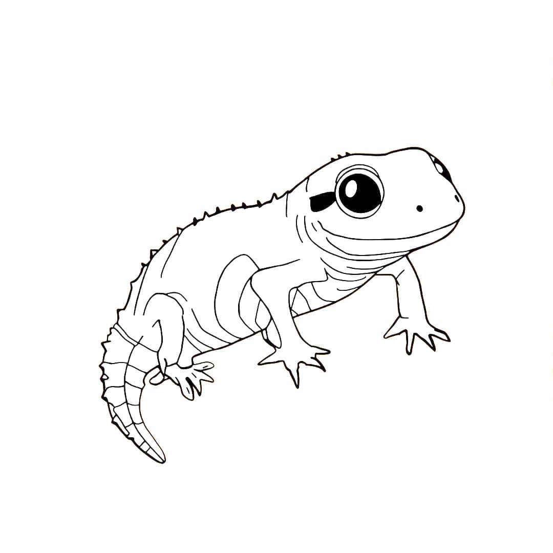 Målarbild Salamander Gratis för Barn