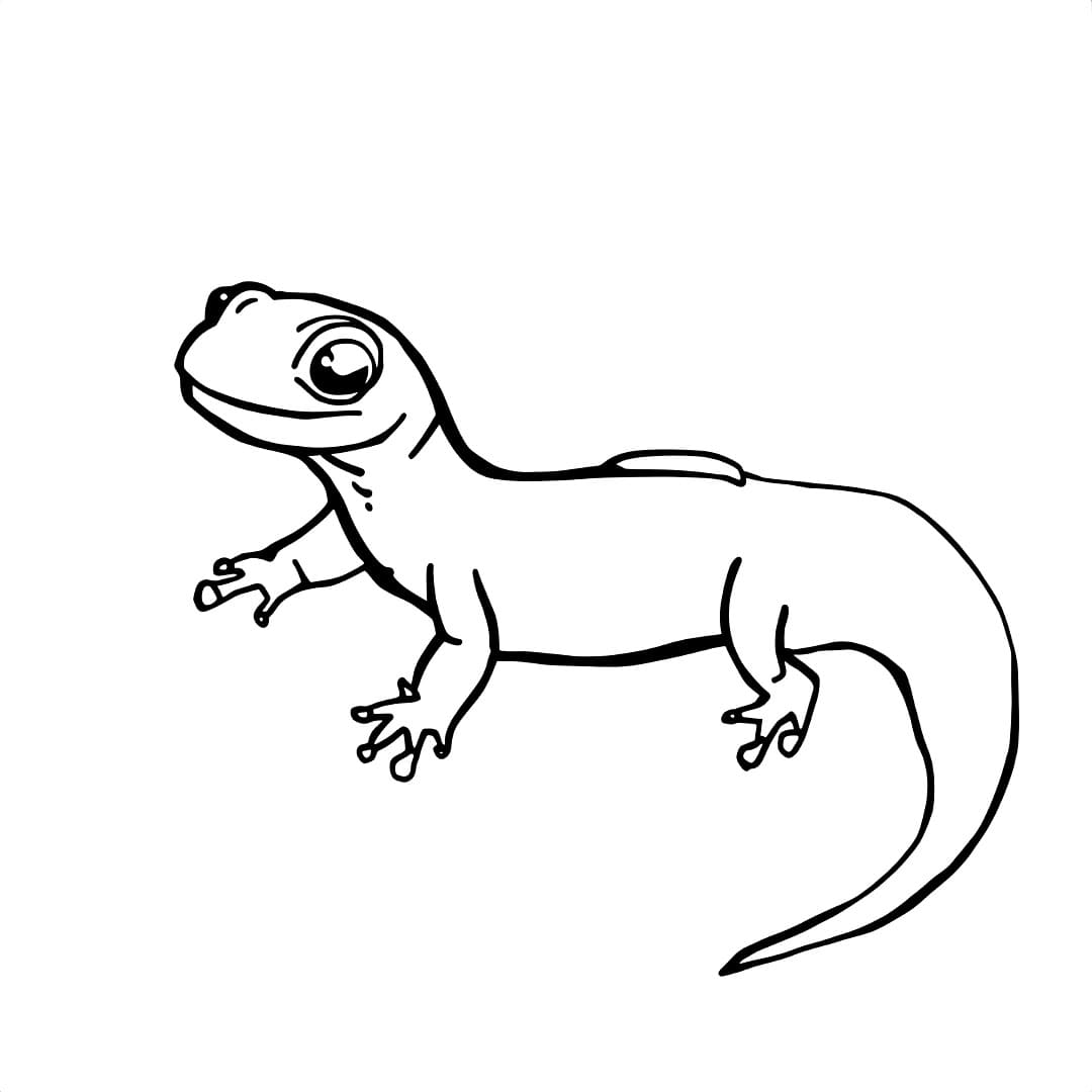 Målarbild Salamander Utskrivbar för Barn