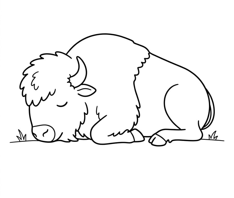 Målarbild Sovande bison