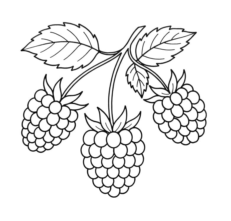 Målarbild Tre hallon