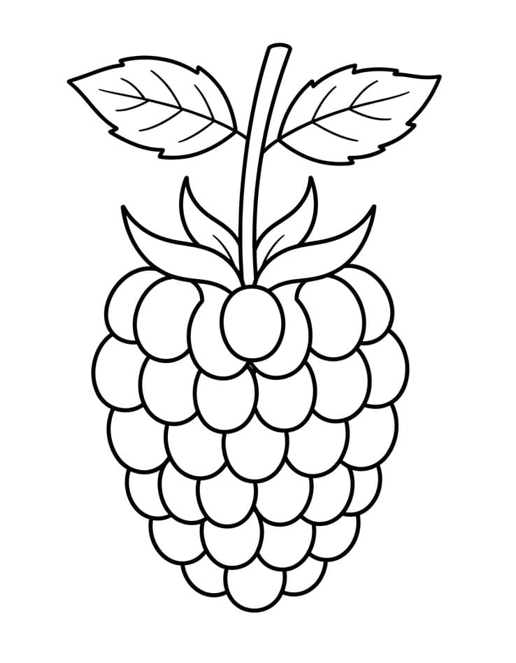 Målarbild Vanlig hallon